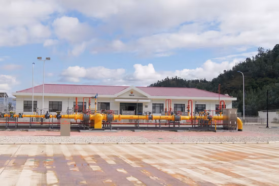 냄새나는 계량 기능을 갖춘 GB 표준 CNG 압력 감소 장치